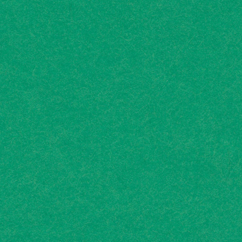 Engels karton 280g/m² - 50x70 cm - groen image