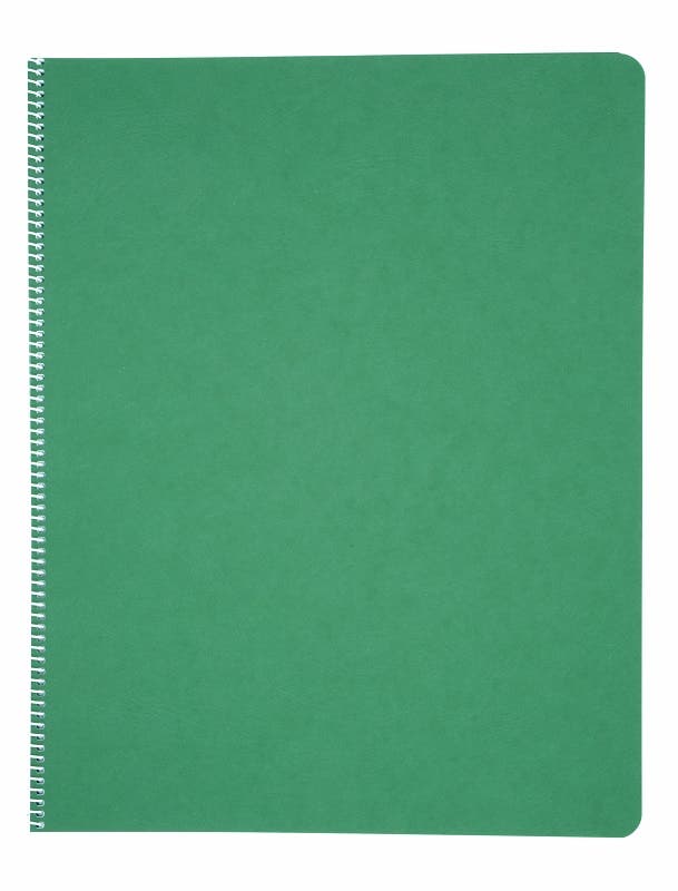 Alfabet-leer cahiers - groen image