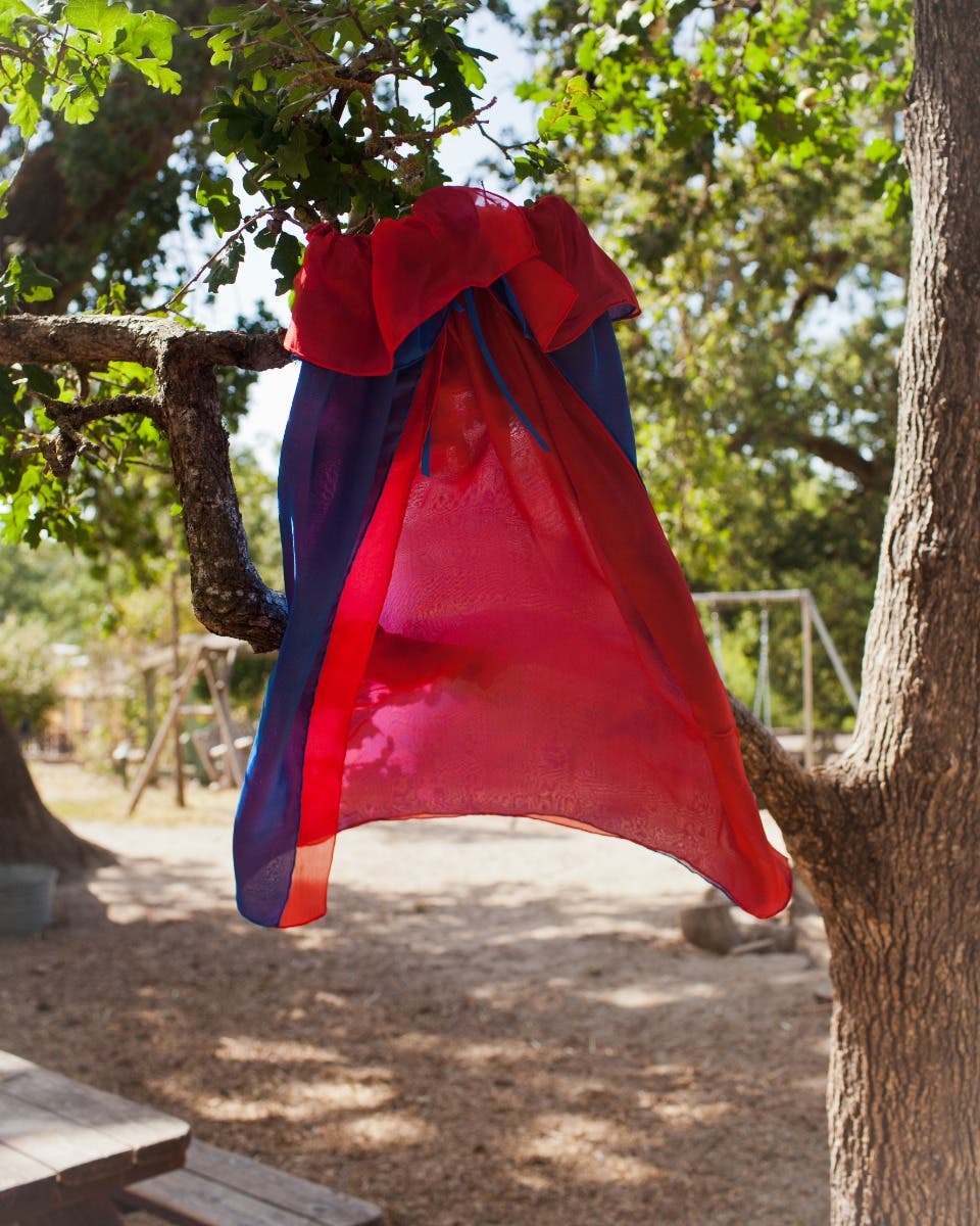 Sarah's Silks Cape - Royal/Red image