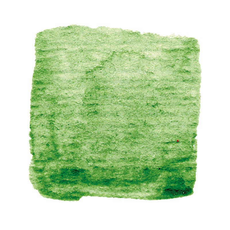 Artemis plantaardige verf 50 ml - bladgroen image