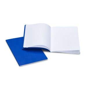 Speciaalcahier A4 hm - geruit 10x10 mm - blauw - per 10 stuks