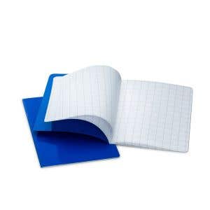 Speciaalcahier A4 hm - geruit 5x5 mm - blauw - per 10 stuks