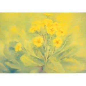 Kaart M. v. Zeyl - Primula